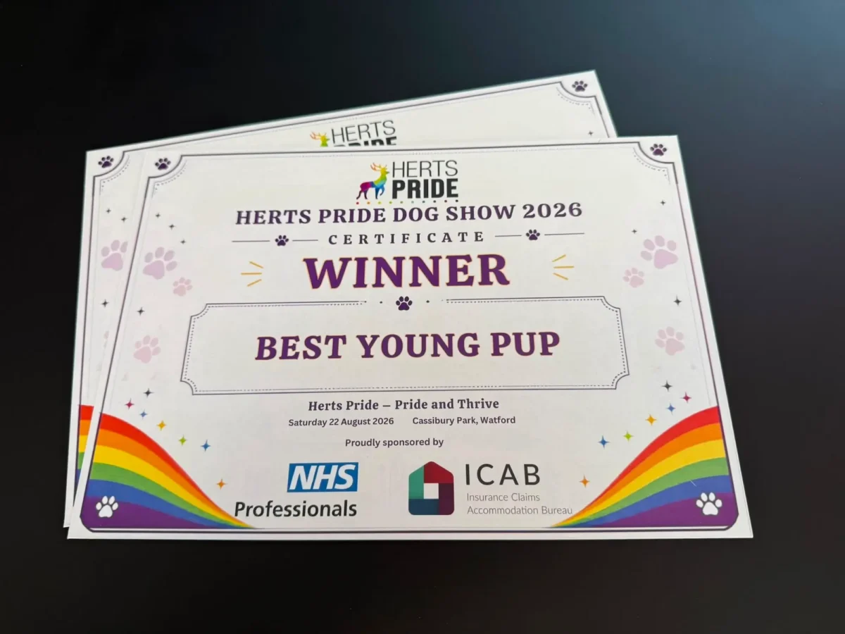 Herts Pride Dog Show 2026 Best Young Pup winner certificate