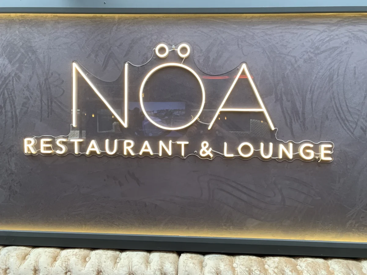 Illuminated NOA Restaurant and Lounge sign with frog-shaped logo