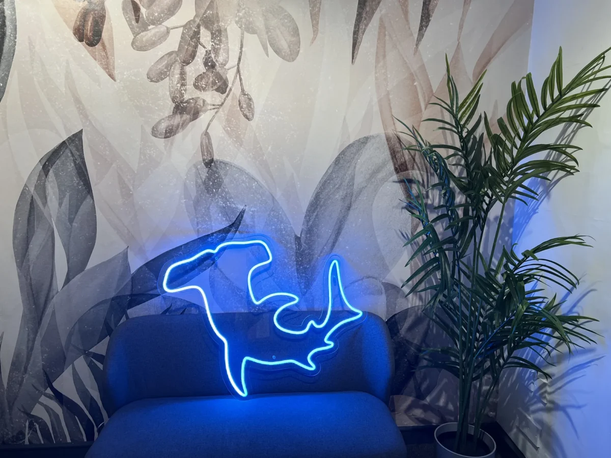 Blue neon kangaroo sign above sofa beside palm plant
